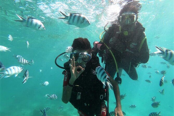 Discover Scuba Diving in Mauritius - Key Takeaways Before You Go