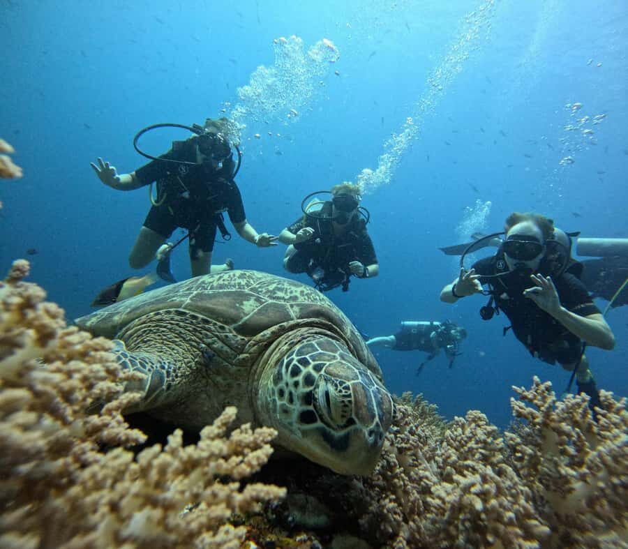 Discover Scuba Diving in the North of Mauritius - Pool practice: the skills you actually use once you’re out there