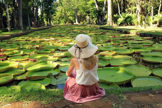 Discovering the North of Mauritius: Full-day incl Botanical garden & lunch - Aapravasi Ghat UNESCO: the port’s indentured-labor story