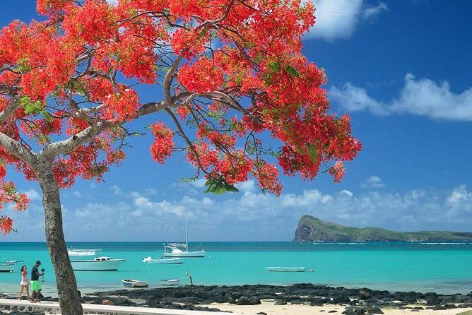 Discovering the North of Mauritius: Full-day incl Botanical garden & lunch - Citadelle (Fort Adelaide) + lunch: panoramic Port Louis from high ground