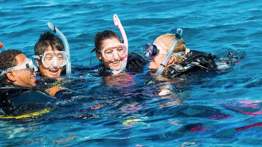 Diving in the North with Blue World Adventures - Key things to know before you go