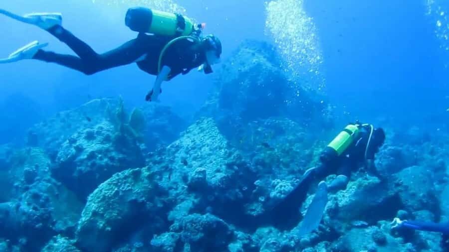 Diving in the North with Blue World Adventures - Meeting Point Reality: Le Méridien and a Quick Start