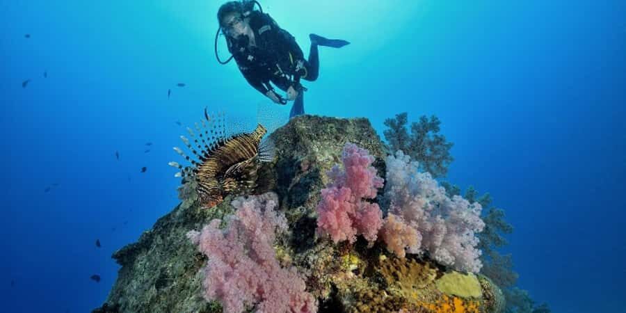 Diving in the North with Blue World Adventures - Shallow-Water Skills: Learning to Use the Gear Correctly