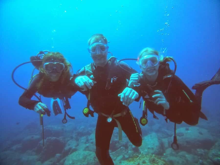 Diving in the North with Blue World Adventures - North Coast Underwater Highlights: Coral, Fish, and Shipwrecks