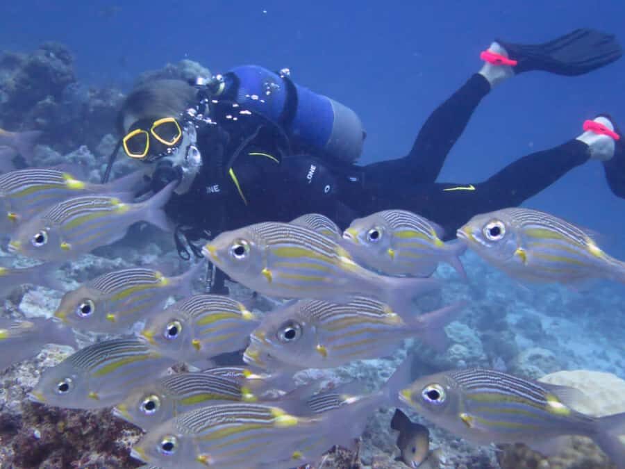 Diving in the North with Blue World Adventures - The 2-Hour Schedule: What You’ll Actually Spend Time Doing