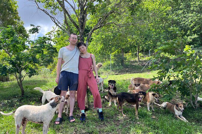 Dog Lover's guided tour of the Happy Tails Sanctuary - The 2-hour plan: what happens during your visit