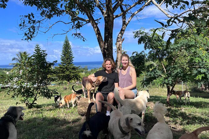 Dog Lover's guided tour of the Happy Tails Sanctuary - Walking, playing, and getting kisses (the part you’ll remember)