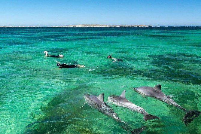 Dolphin Encounters, Ile aux Benitier & Crystal rock: Full-Day (Lunch & Transfer) - Getting from Trou d’Eau Douce to the boat: the morning rhythm