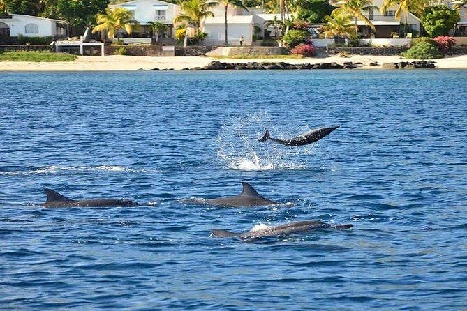 Dolphin Encounters, Ile aux Benitier & Crystal rock: Full-Day (Lunch & Transfer) - Ile aux Benitiers beach BBQ: lunch that actually feels like a break