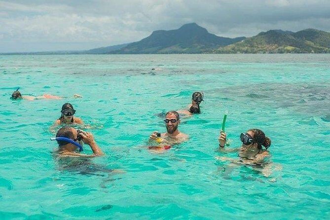 Dolphin Encounters, Ile aux Benitier & Crystal rock: Full-Day (Lunch & Transfer) - Small-group feel, big water day: practical tips that matter