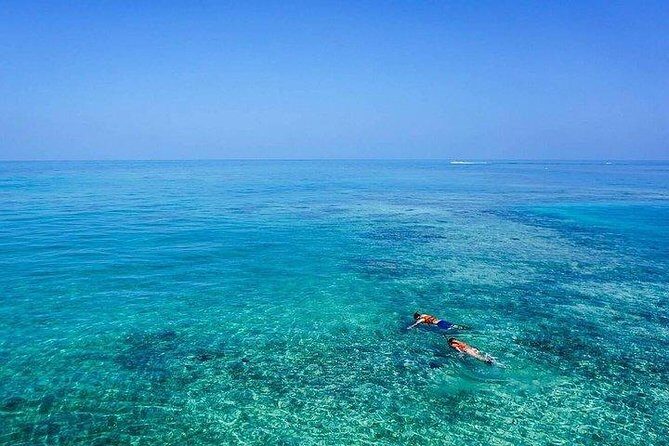 Dolphin Encounters, Ile aux Benitier & Crystal rock: Full-Day (Lunch & Transfer) - Who this Mauritius day trip fits best