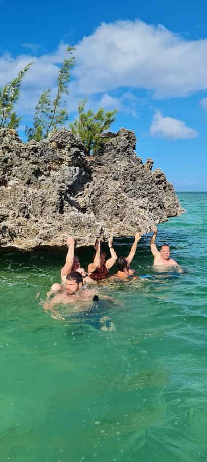 Dolphins: Private, Snorkel, CrystalRock, ileoBenitiers,lunch - Dolphins, Crystal Rock, and Ile aux Benitiers: what makes this day work