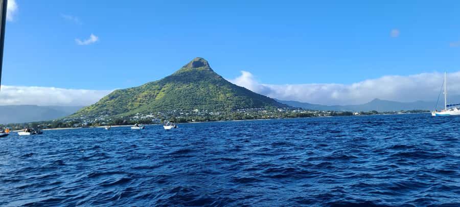 Dolphins & Whales, Private Tour Snorkeling - Price and Value: Is $635 for Up to 4 Worth It?