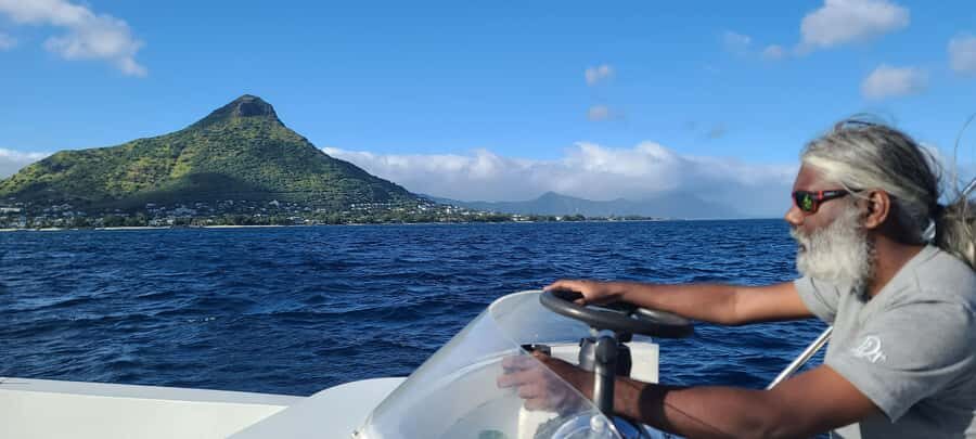 Dolphins & Whales, Private Tour Snorkeling - Should You Book This Dolphin and Whale Snorkel Tour?