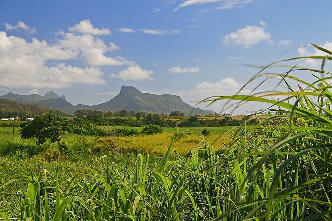 East of Mauritius: Full Day Scenic Tour with Lunch & Glass Bottom - The Blue Bay lagoon through a glass-bottom boat