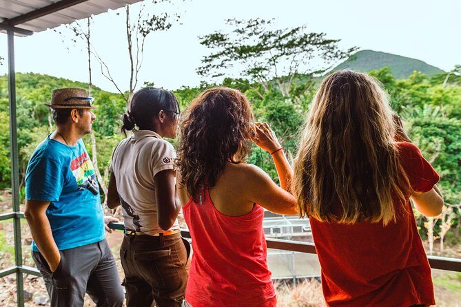 Ebony Forest Reserve Chamarel: Endemic Birdwatching Guided Tour - Ebony Forest Chamarel: Why This Bird Tour Feels Different
