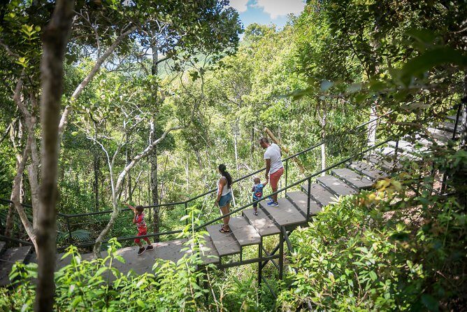 Ebony Forest Reserve Chamarel - Take a Hike Tour - Birds you might spot (and why the guide helps)