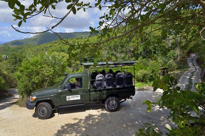 Ebony Forest Reserve Chamarel - Take a Hike Tour - Sublime Point ridgeline trail: where the views earn the hike