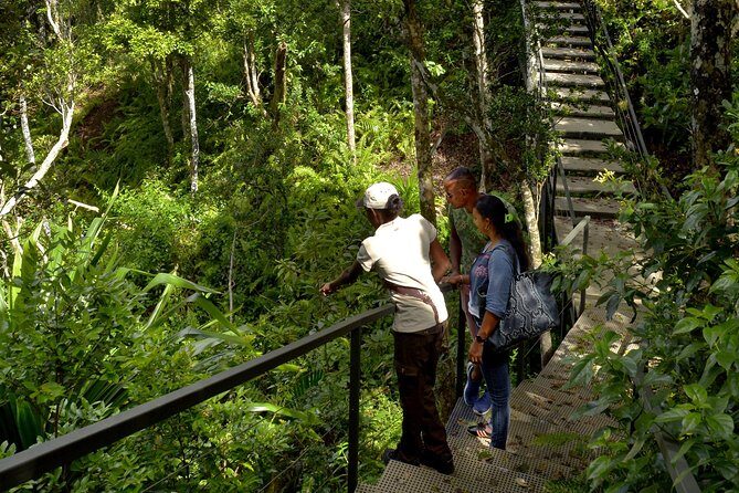 Ebony Forest Reserve Chamarel - Take a Hike Tour - What the “all weather” promise really means for your comfort