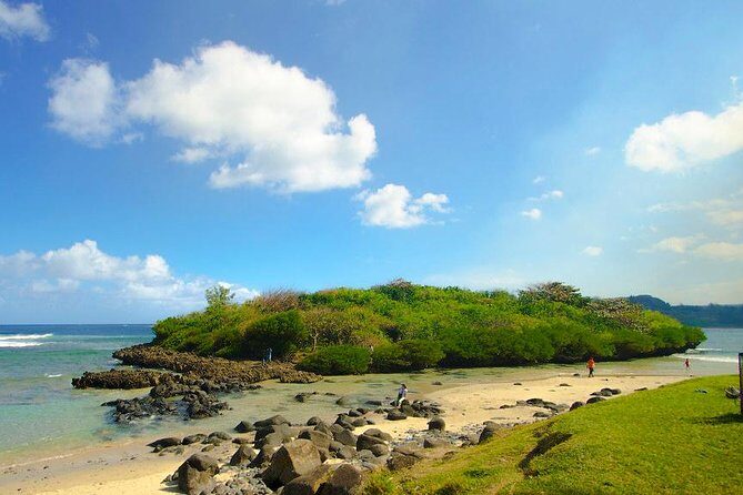 Enchanting South of Mauritius: Full-day tour Incl CASELA Park, Lunch & Transfer - Trou aux Cerfs: A Volcanic Crater With Forest Around It