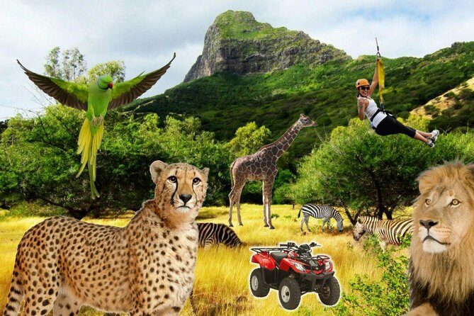 Enchanting South of Mauritius: Full-day tour Incl CASELA Park, Lunch & Transfer - Black River Gorges Viewpoint: Rainforest Views Without the Big Trek