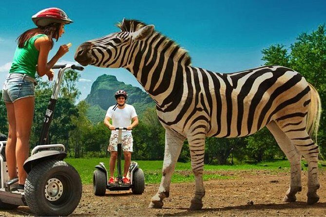 Enchanting South of Mauritius: Full-day tour Incl CASELA Park, Lunch & Transfer - Casela Nature Parks: Safari Truck Plus Animal Encounters