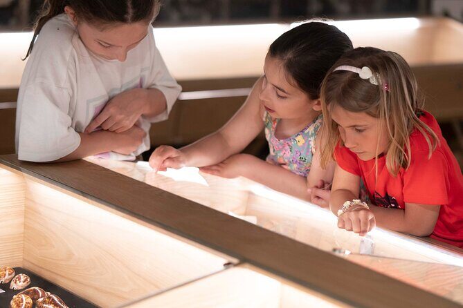 Entrance Ticket to World of Seashells museum - Is the $7 ticket worth it for what you’ll see