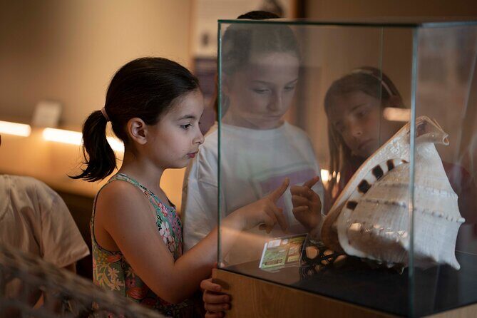 Entrance Ticket to World of Seashells museum - Timing it right: 9:00 am start and how long to plan
