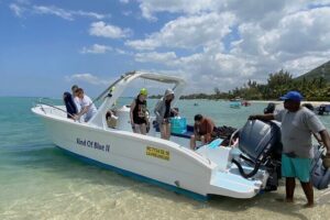 Exciting Dolphin encounters in the Maurtius's lagoon - Swimming with dolphins: guides, support, and dolphin-spotting rhythm
