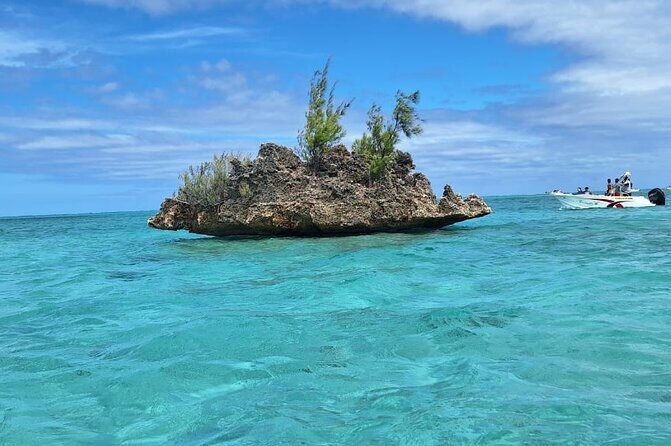 Exciting Dolphin encounters in the Maurtius's lagoon - Reef snorkeling after dolphin time: turning one encounter into two