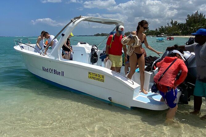 Exciting Dolphin encounters in the Maurtius's lagoon - Boat and crowd variables in the Mauritian lagoon