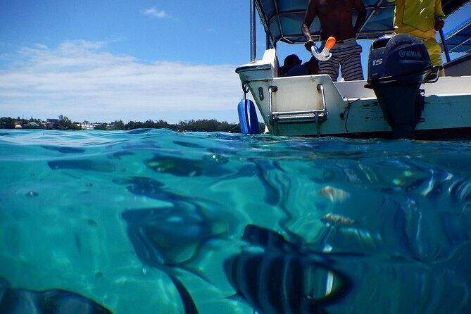 Exotic East of Mauritius: Full-day incl Ile aux Aigrette & Blue-Bay Marine Park - Price and What You Actually Get for $158.57