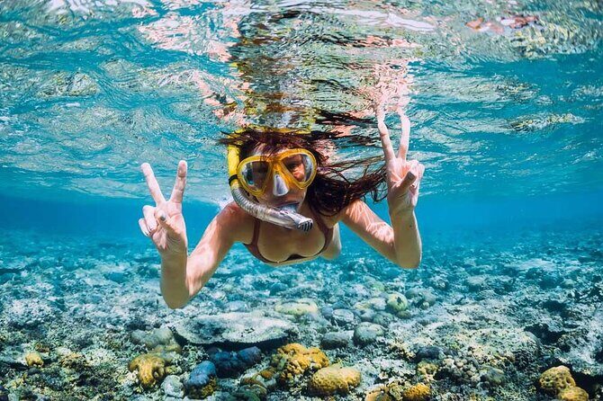 Exotic East of Mauritius: Full-day incl Ile aux Aigrette & Blue-Bay Marine Park - Blue Bay Marine Park: Glass-Bottom Boat Plus Snorkeling