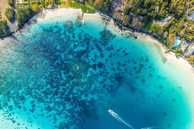 Exotic East of Mauritius: Full-day incl Ile aux Aigrette & Blue-Bay Marine Park - Ile aux Aigrettes Nature Reserve: Tiny Island, Mauritius-Only Species