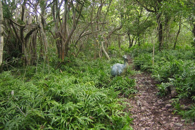 Exotic East of Mauritius: Full-day incl Ile aux Aigrette & Blue-Bay Marine Park - Mahebourg Waterfront: Bataille de la Passe in Plain Sight