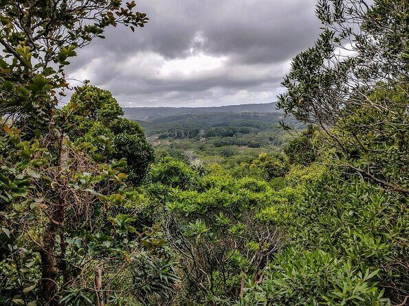 Exotic South: Journey into the Nature (Full-Day Tour incl Lunch & Ebony Forest) - Key things that make this tour work