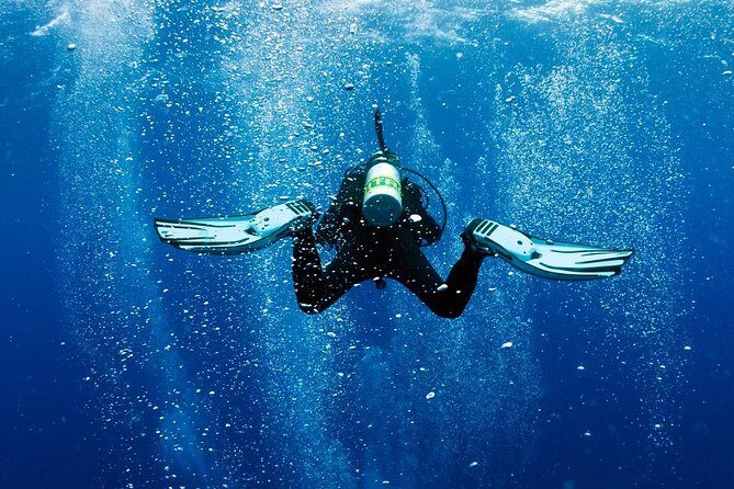 Exploration dives - South-east Mauritius changes the whole underwater game