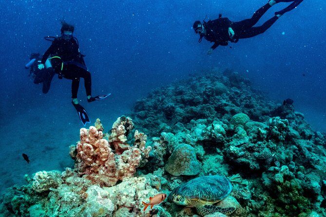 Exploration dives for experienced divers - Quick hits before you go