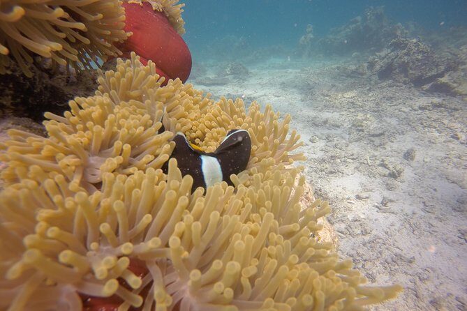 Exploration dives - Safety and comfort: why the equipment timing matters