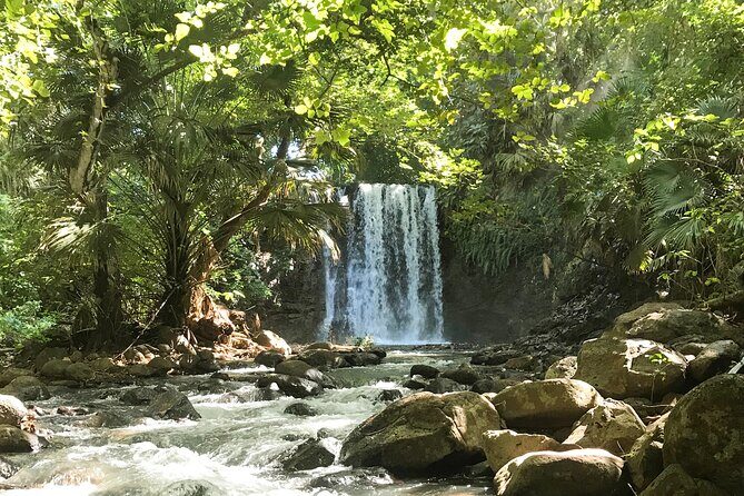 Explore The Wild South - Should you book Explore The Wild South?