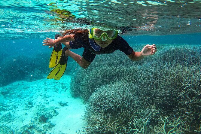 Exploring the Magnificent East of Mauritius: Full-day incl Blue Bay Marine Park - Key highlights to know before you go