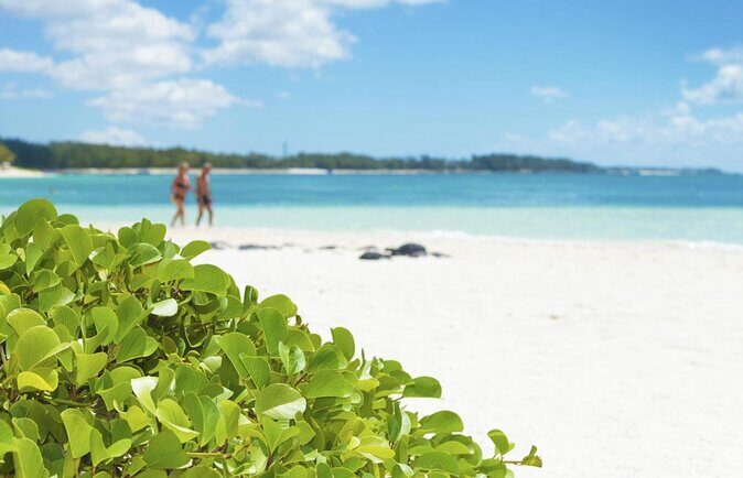 Exploring the Magnificent East of Mauritius: Full-day incl Blue Bay Marine Park - Getting started in Mahebourg: the day’s pace and first atmosphere