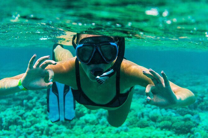 Exploring the Magnificent East of Mauritius: Full-day incl Blue Bay Marine Park - Mahebourg waterfront and the local market: culture you can walk through