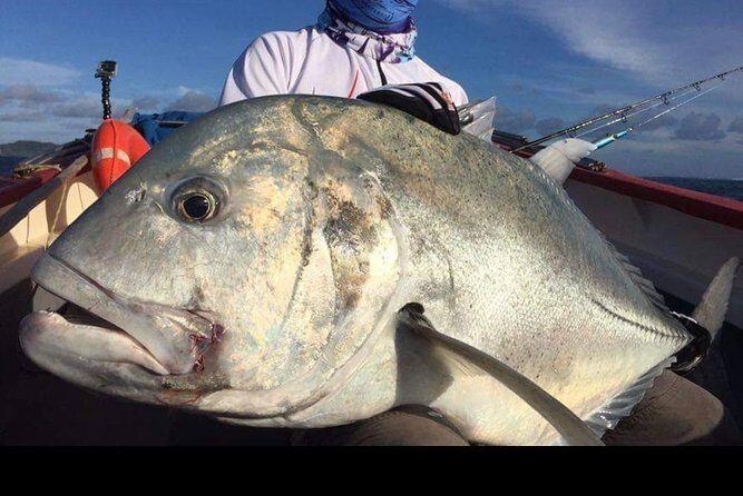 Fishing Trips. Popping, jigging, big game, live bait - Key things you should know before you go