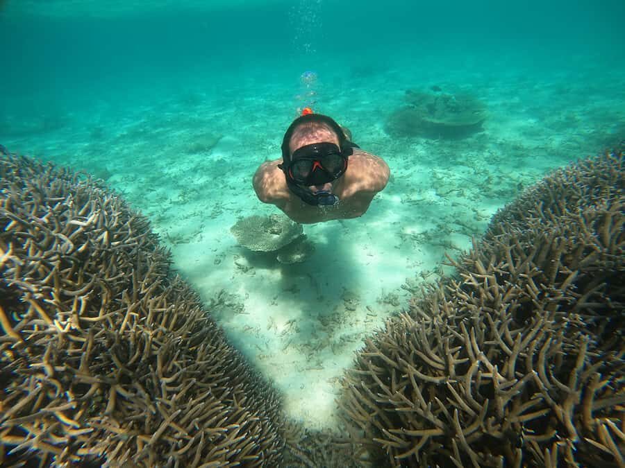 From Blue Bay: Ile aux Cerfs Speedboat Excursion with BBQ - Key Things I’d Put on Your Radar