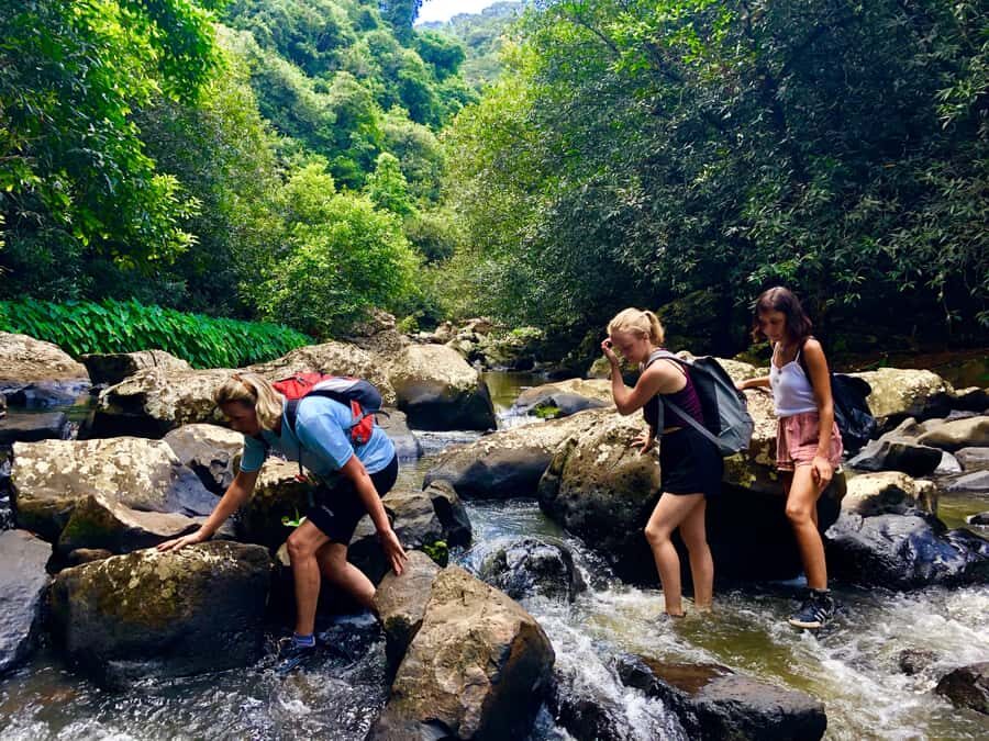 From Chamarel: Waterfall Eco-Hike Adventure - Key Takeaways Before You Go