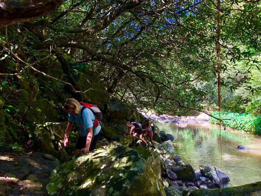 From Chamarel: Waterfall Eco-Hike Adventure - What to pack: small items that matter when you get wet