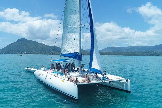 Full Day Catamaran Cruise on shared basis to Bénitiers Island - Weather and wildlife reality check: the two “maybes” in the plan