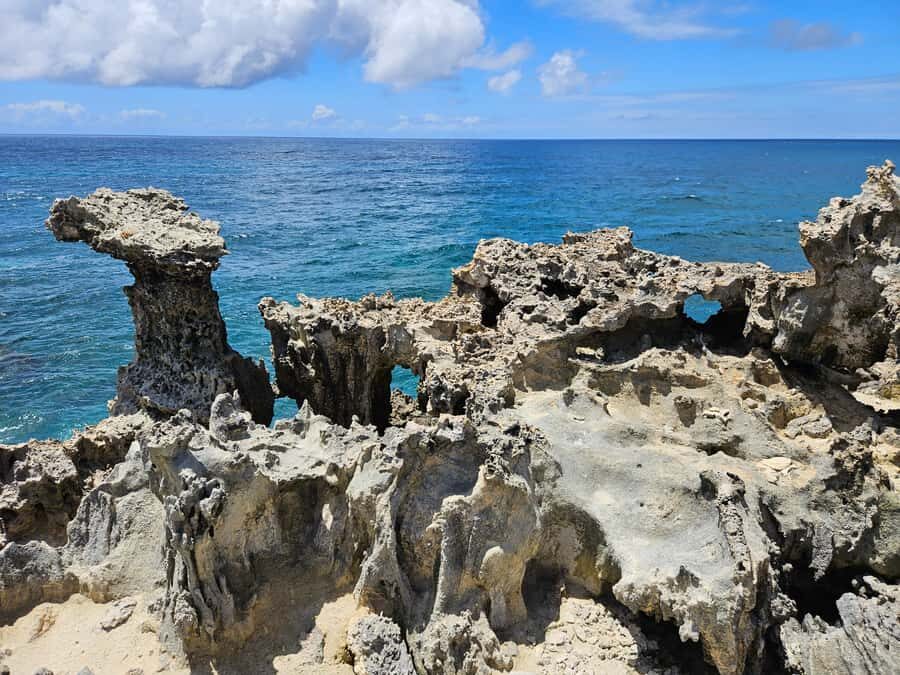 FULL-DAY CATASPEED - East Lagoon cruise including transfer. - East Coast Mauritius, run like a private day trip