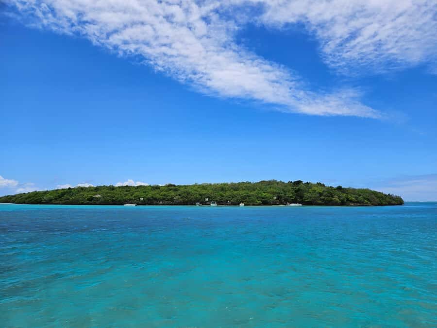 FULL-DAY CATASPEED - East Lagoon cruise including transfer. - Snorkeling at the Aquarium stop: gear provided, so focus on the water